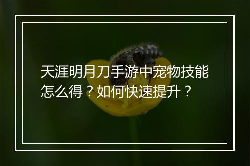天涯明月刀手游中宠物技能怎么得?如何快速提升?