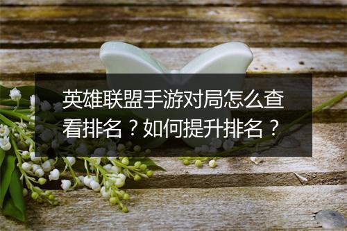 英雄联盟手游对局怎么查看排名?如何提升排名?